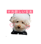 さなぴの毎日（個別スタンプ：2）
