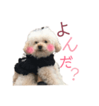さなぴの毎日（個別スタンプ：4）