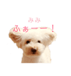 さなぴの毎日（個別スタンプ：6）