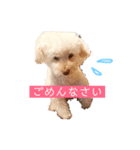 さなぴの毎日（個別スタンプ：7）