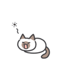 しゃむネコちゃん（個別スタンプ：3）