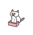 しゃむネコちゃん（個別スタンプ：13）