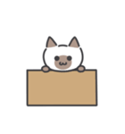 しゃむネコちゃん（個別スタンプ：16）