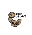 チワワのランちゃん（個別スタンプ：2）