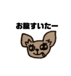 チワワのランちゃん（個別スタンプ：4）
