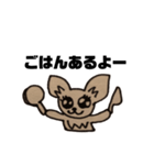 チワワのランちゃん（個別スタンプ：5）