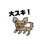 チワワのランちゃん（個別スタンプ：7）