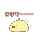 ひよこ好き（個別スタンプ：11）