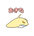 ひよこ好き（個別スタンプ：22）