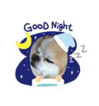 愛犬マリンさん（個別スタンプ：4）