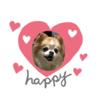 愛犬マリンさん（個別スタンプ：5）