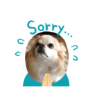 愛犬マリンさん（個別スタンプ：6）