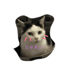 まるるーん（個別スタンプ：1）