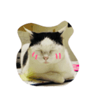 まるるーん（個別スタンプ：7）