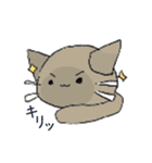 うちの4にゃんこ（個別スタンプ：11）