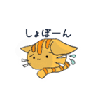 うちの4にゃんこ（個別スタンプ：15）