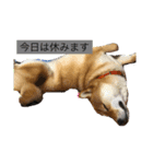靖國スタンプ（個別スタンプ：1）