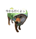 靖國スタンプ（個別スタンプ：6）