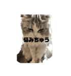 ミルクちゃんのひとこと（個別スタンプ：5）