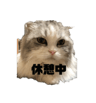 ミルクちゃんのひとこと（個別スタンプ：6）