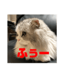 ミルクちゃんのひとこと（個別スタンプ：7）