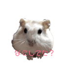 ぐりくん（個別スタンプ：5）