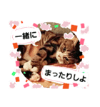 桃日々のことだま（個別スタンプ：1）