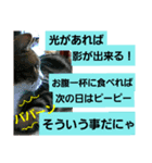 桃日々のことだま（個別スタンプ：2）