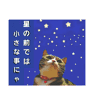 桃日々のことだま（個別スタンプ：3）