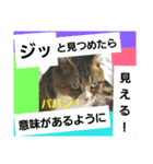 桃日々のことだま（個別スタンプ：4）