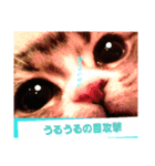 桃日々のことだま（個別スタンプ：8）
