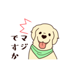 レトリバーと笑顔で暮らそう！敬語Ver.（個別スタンプ：2）