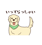 レトリバーと笑顔で暮らそう！敬語Ver.（個別スタンプ：3）