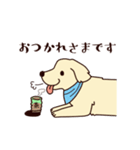 レトリバーと笑顔で暮らそう！敬語Ver.（個別スタンプ：4）
