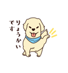 レトリバーと笑顔で暮らそう！敬語Ver.（個別スタンプ：5）