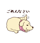 レトリバーと笑顔で暮らそう！敬語Ver.（個別スタンプ：8）