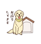 レトリバーと笑顔で暮らそう！敬語Ver.（個別スタンプ：11）