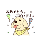 レトリバーと笑顔で暮らそう！敬語Ver.（個別スタンプ：13）