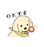 レトリバーと笑顔で暮らそう！敬語Ver.（個別スタンプ：14）