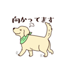 レトリバーと笑顔で暮らそう！敬語Ver.（個別スタンプ：15）