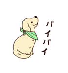 レトリバーと笑顔で暮らそう！敬語Ver.（個別スタンプ：16）