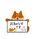 身近なやさしい敬語、柴犬スタンプ（個別スタンプ：13）