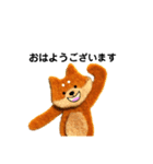 身近なやさしい敬語、柴犬スタンプ（個別スタンプ：26）