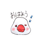 癒やし文鳥スタンプ（個別スタンプ：1）