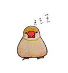 癒やし文鳥スタンプ（個別スタンプ：3）