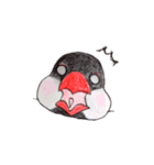 癒やし文鳥スタンプ（個別スタンプ：5）