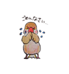 癒やし文鳥スタンプ（個別スタンプ：6）