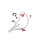癒やし文鳥スタンプ（個別スタンプ：14）