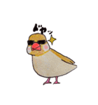癒やし文鳥スタンプ（個別スタンプ：18）