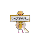癒やし文鳥スタンプ（個別スタンプ：25）